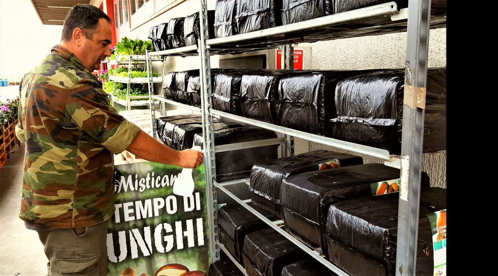 SUBSTRATI INCUBATI PER FUNGHI!